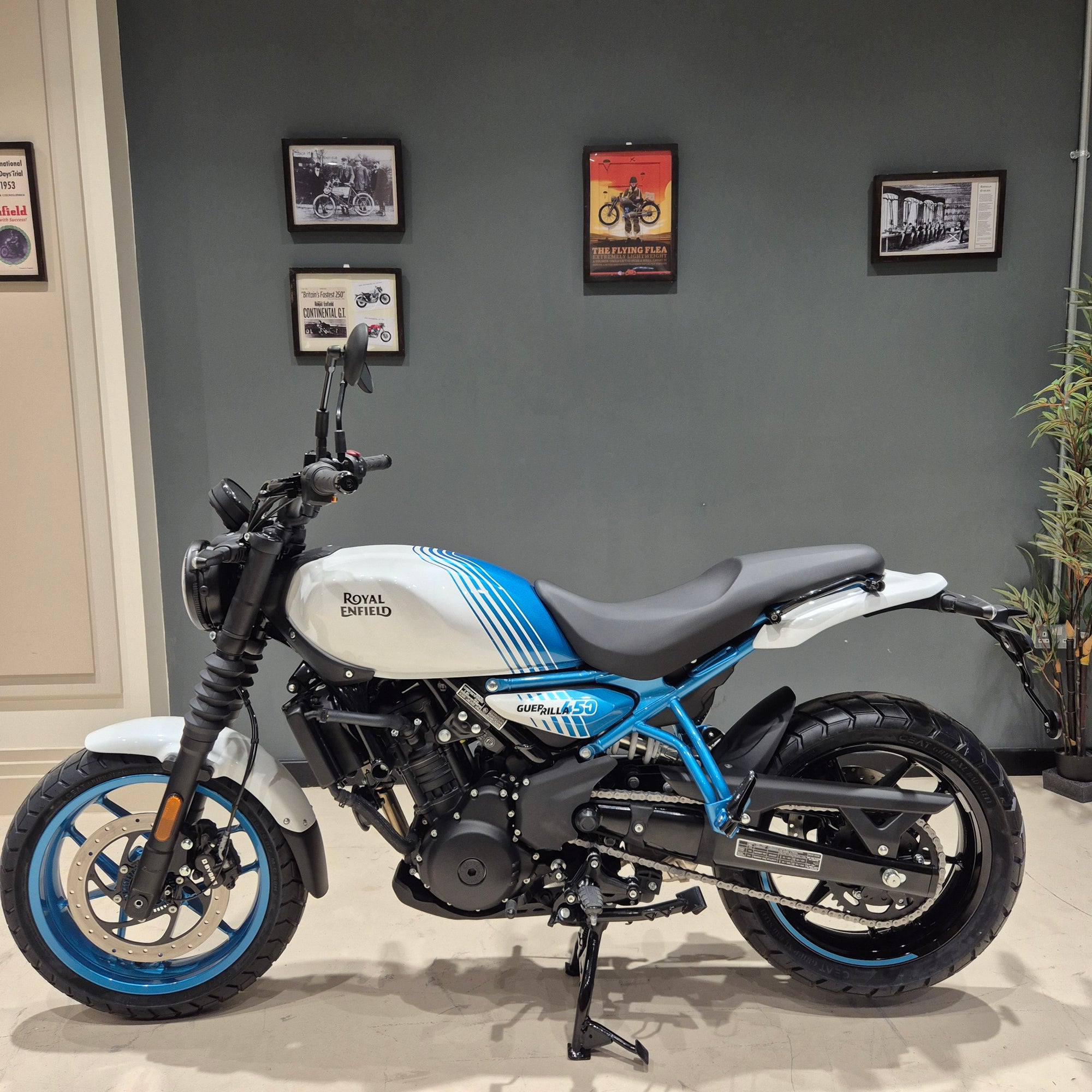 A Royal Enfield Bullet S motorcycle with a white and blue livery, parked indoors against a dark gray wall with framed pictures.