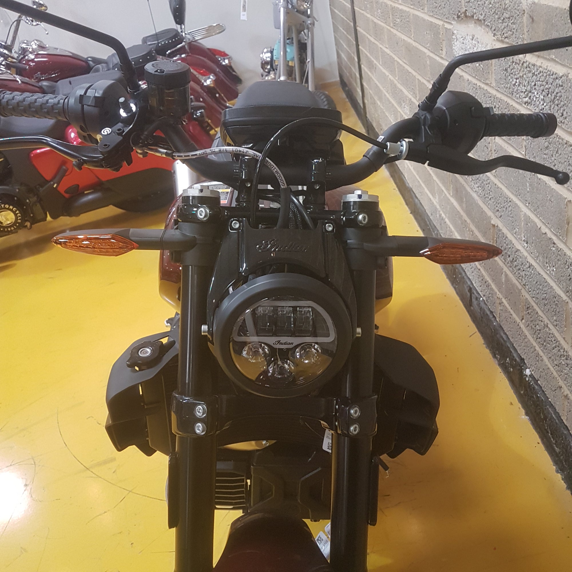 INDIAN FTR S - MAROON METALLIC