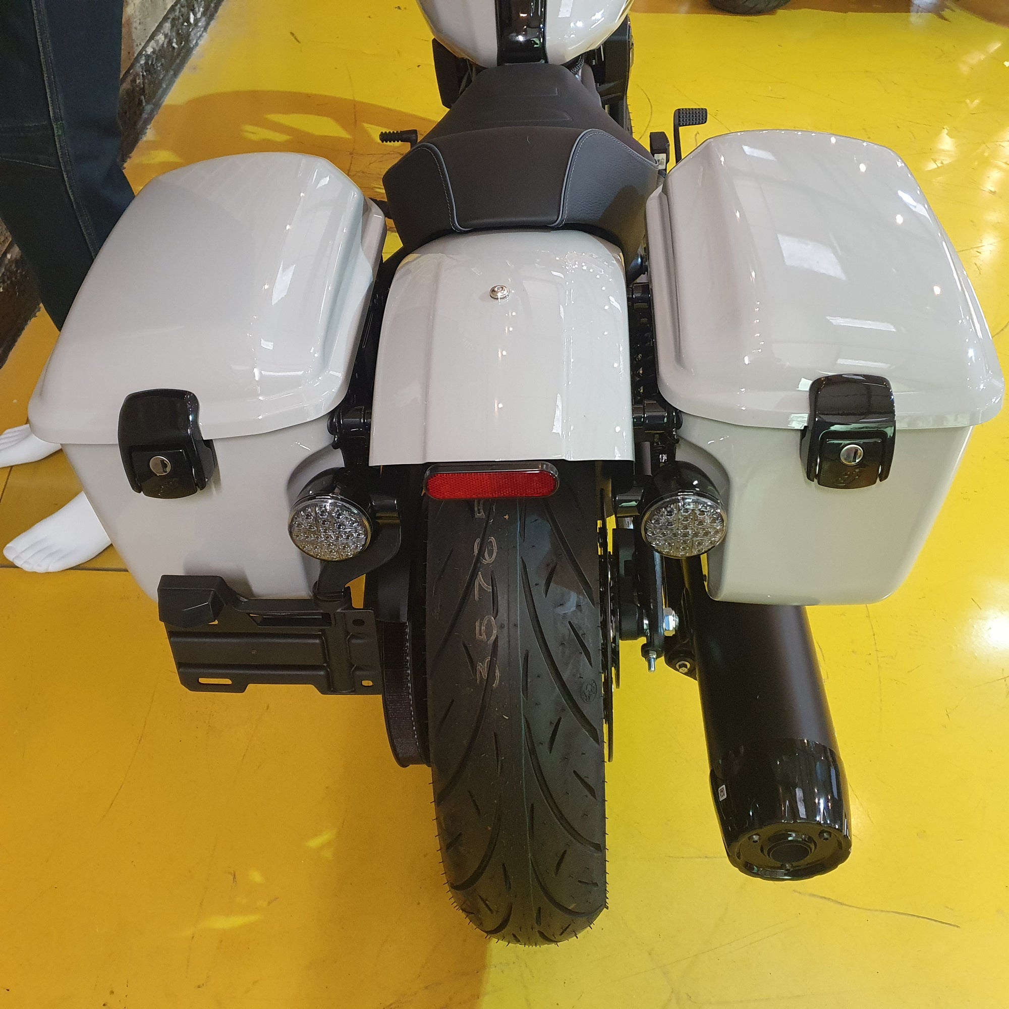 2026 Sport Scout RT - Chalk