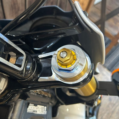 INDIAN SCOUT 101 - GHOST WHITE PEARLESCENT