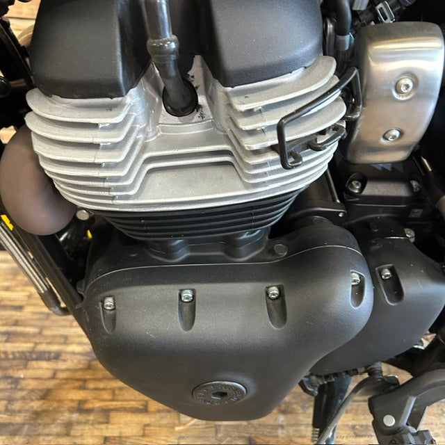 ROYAL ENFIELD BEAR 650 - Wild honey