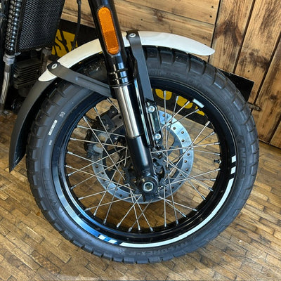 ROYAL ENFIELD BEAR 650 - Wild honey