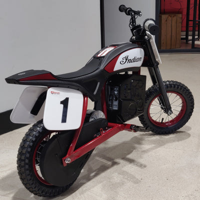 Indian eFTR mini - Race Rep