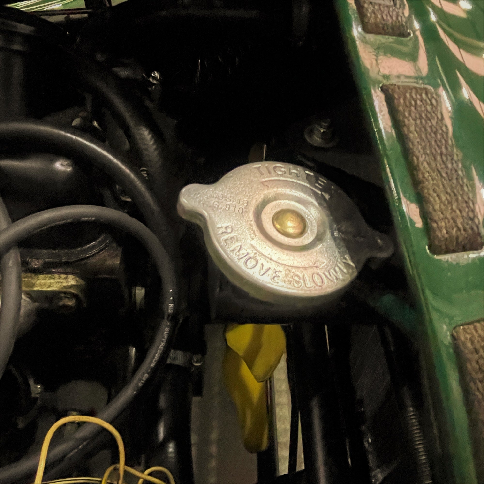 Morgan 4/4 - Solid Morgan Green