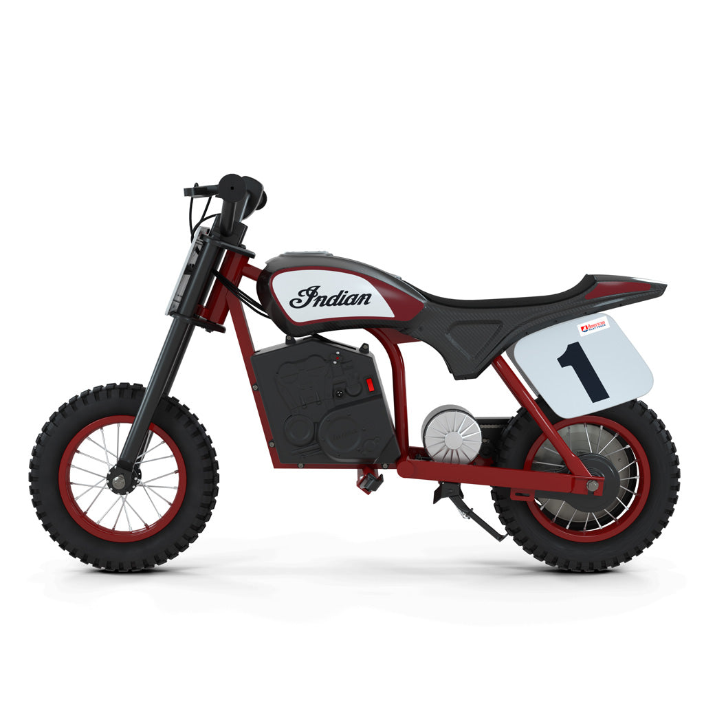 Indian eFTR Mini - Race Rep