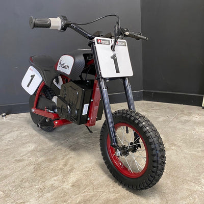 Indian eFTR mini - Race Rep