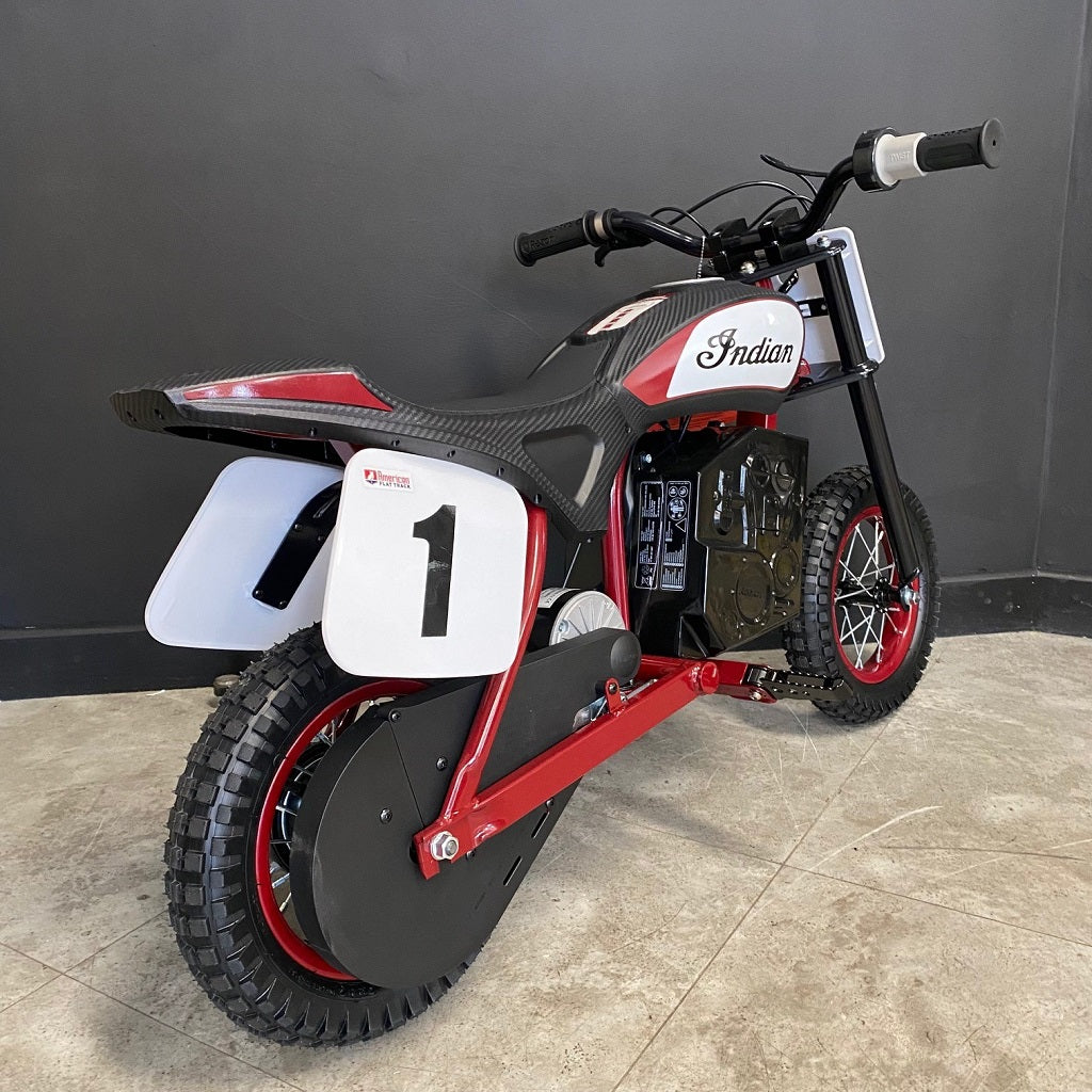 Indian eFTR mini - Race Rep