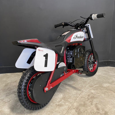 Indian eFTR mini - Race Rep