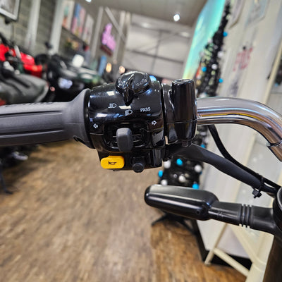 ROYAL ENFIELD BEAR 650 - Wild Honey