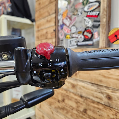 ROYAL ENFIELD BEAR 650 - Wild Honey