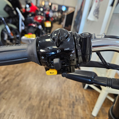 ROYAL ENFIELD BEAR 650  - Two Four Nine