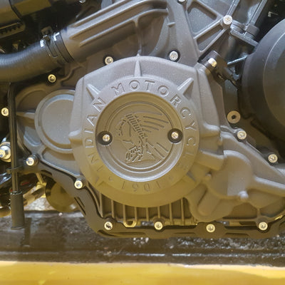 INDIAN FTR S - MAROON METALLIC