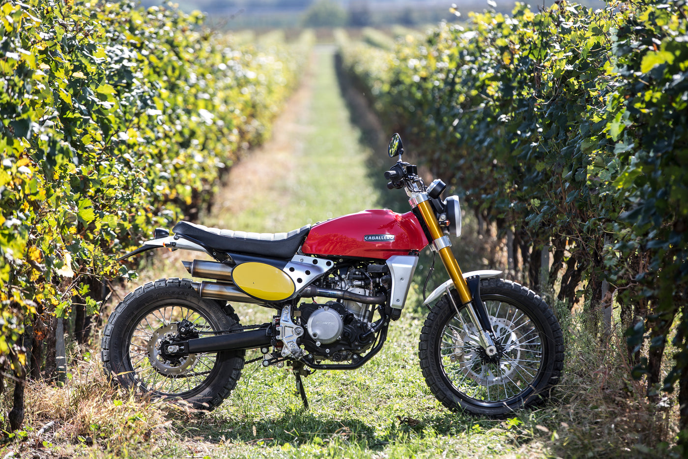 Dave - caballeo scrambler
