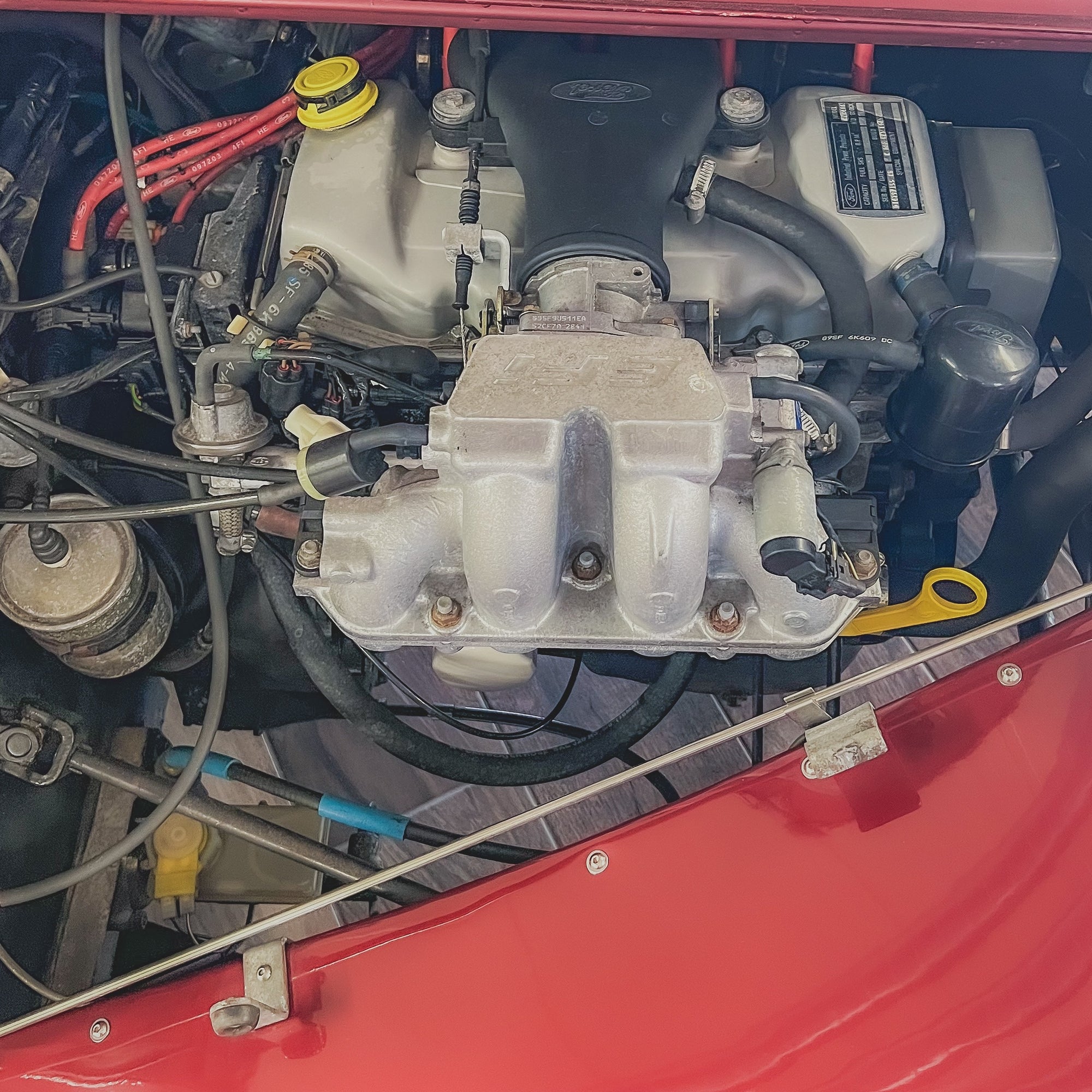 Morgan 4/4 LOW LINE - BMW Calypso Red