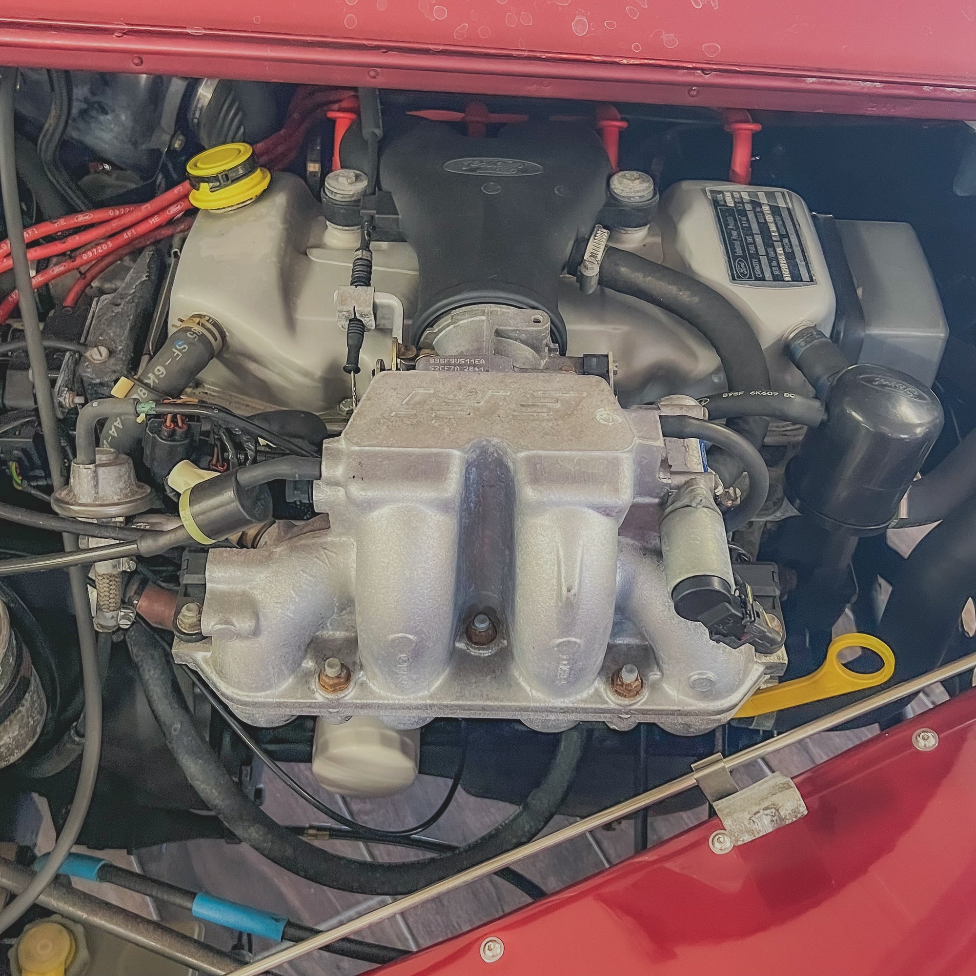 Morgan 4/4 LOW LINE - BMW Calypso Red