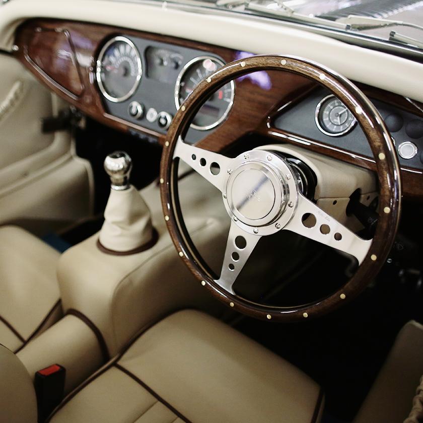 PreLoved Morgan Stock