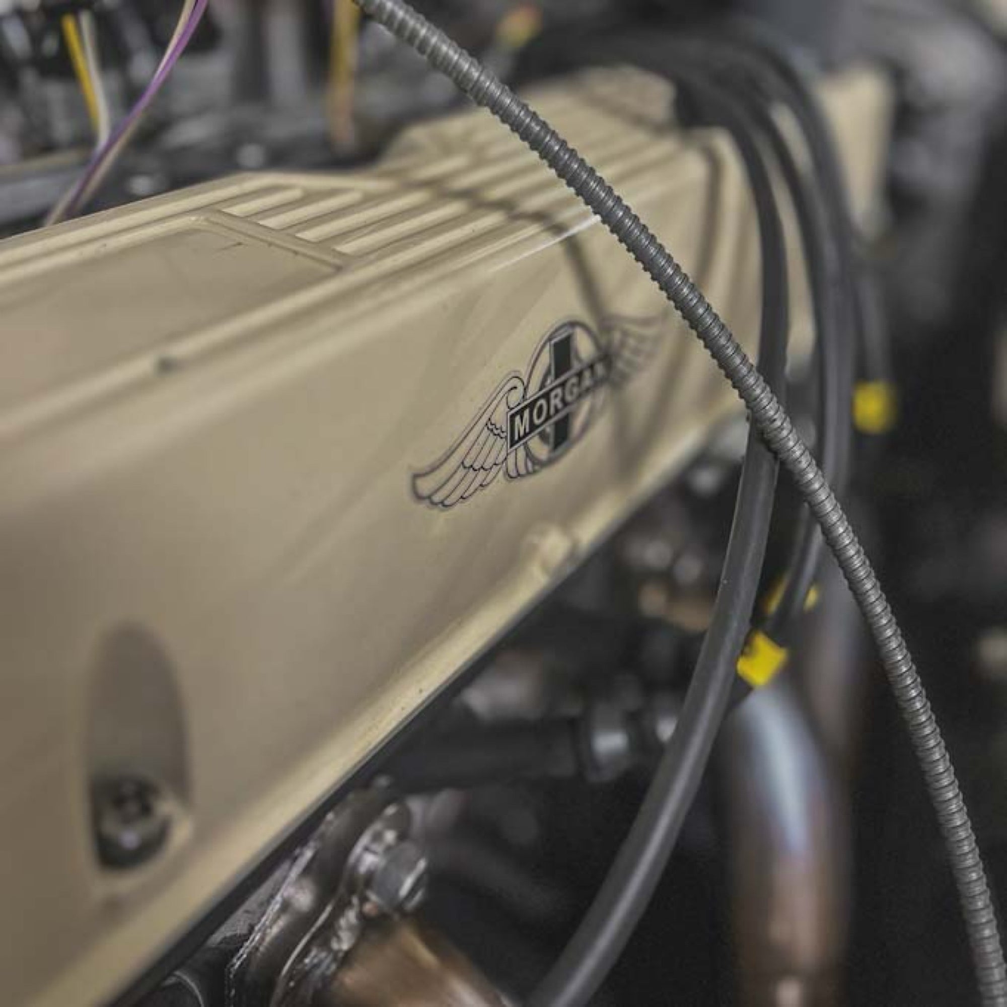 Morgan Plus 8 - Old English White