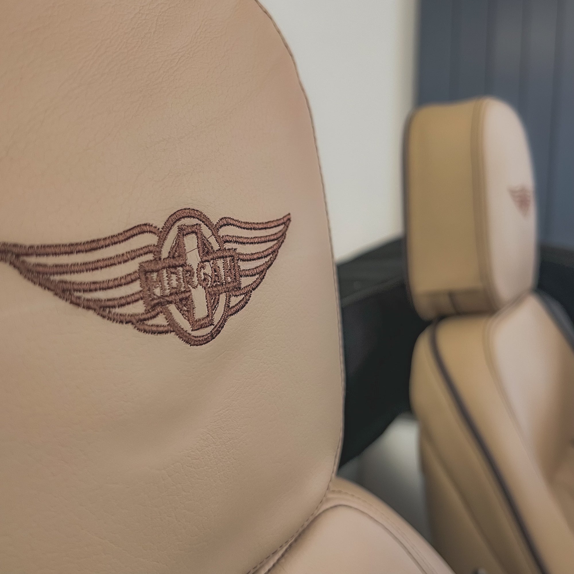 Morgan Plus Six - Bentley Cricket Ball