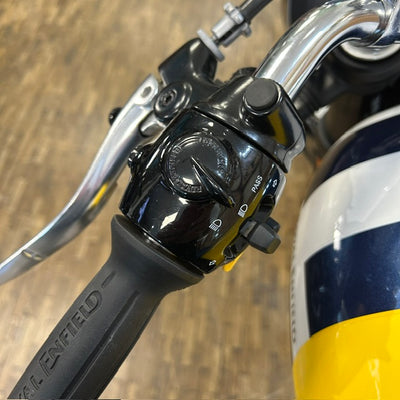 ROYAL ENFIELD BEAR 650 - Wild honey