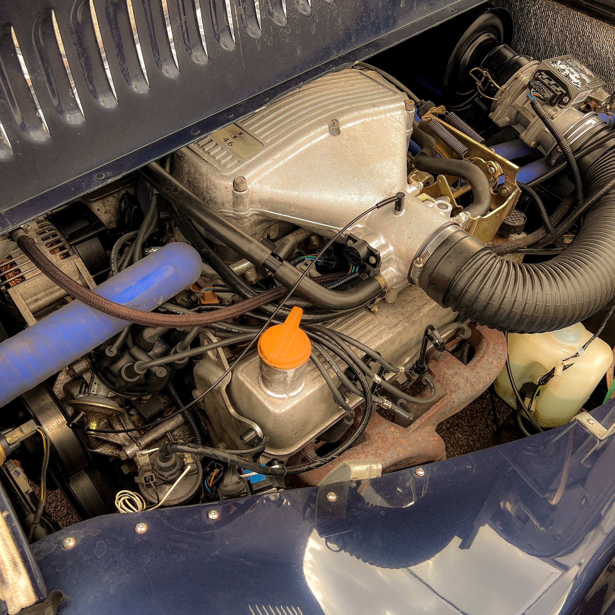 Morgan Plus 8 4.6 Ltr 220 BHP V8,  SSL Front & Rear Suspension upgrade - Tour De France Blue