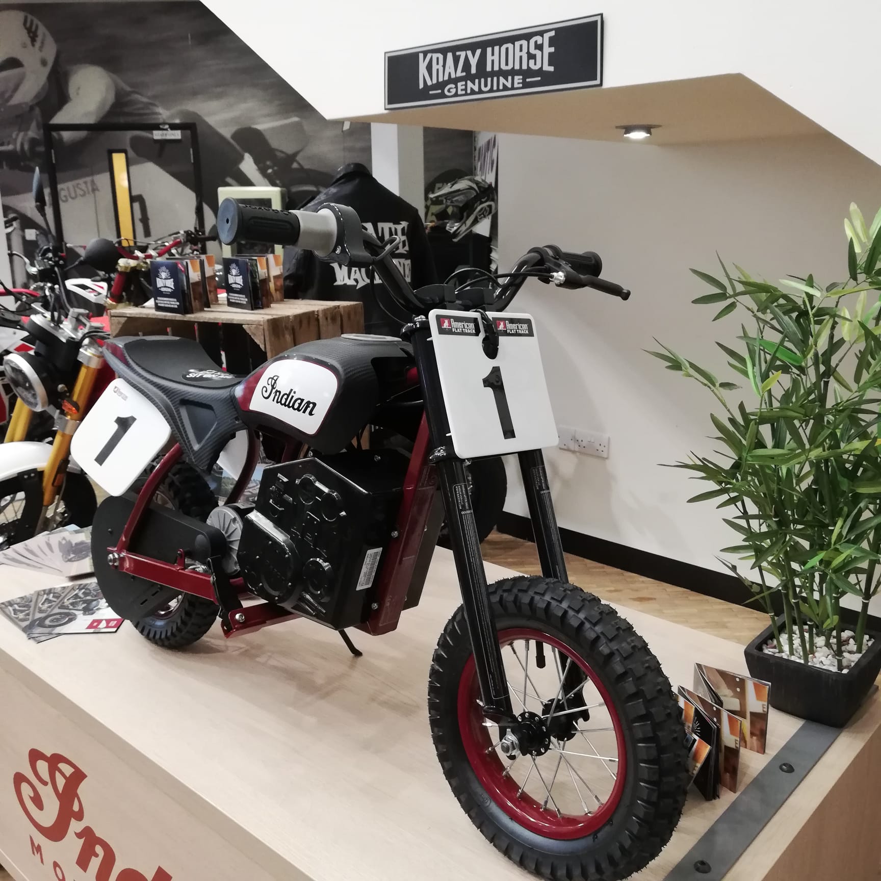 Indian eFTR Mini - INDIAN MOTORCYCLE RED/CARBON