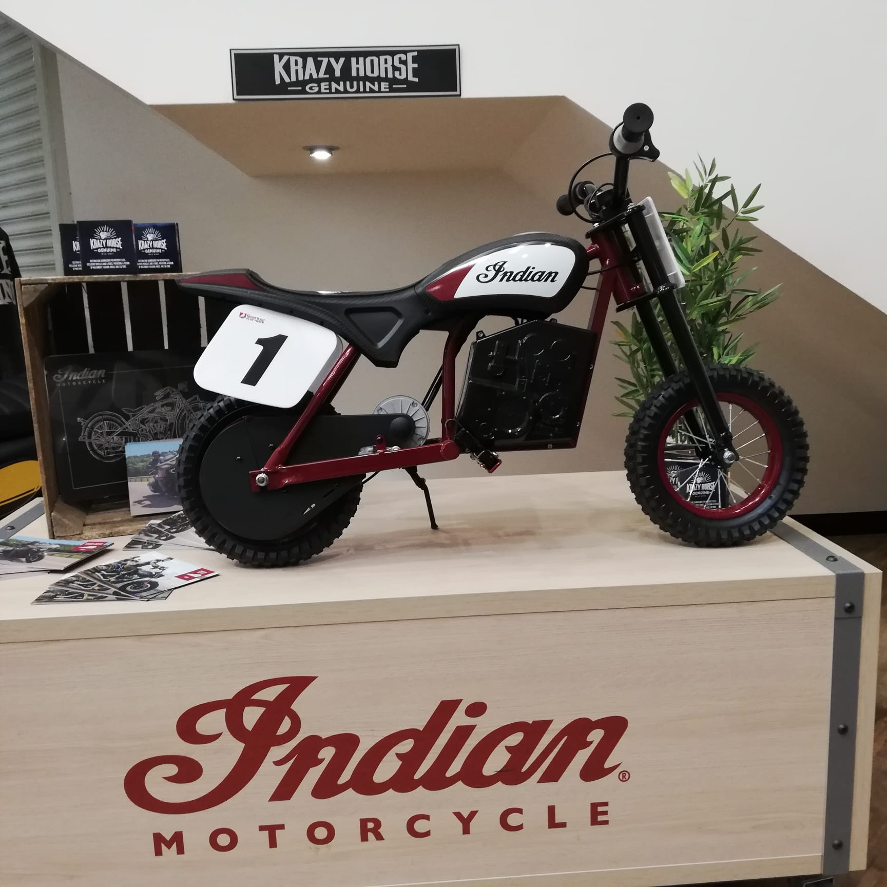 Indian on sale motorcycle electric