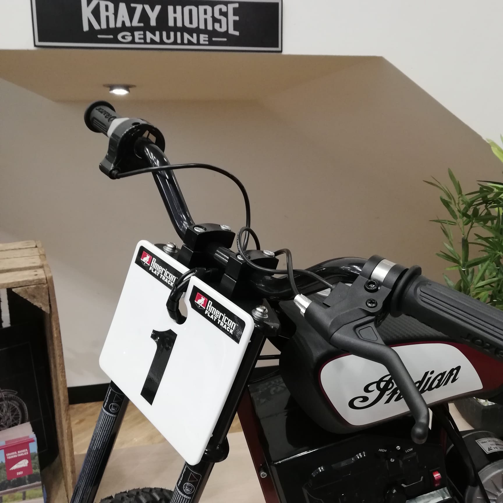 Indian eFTR Mini - INDIAN MOTORCYCLE RED/CARBON