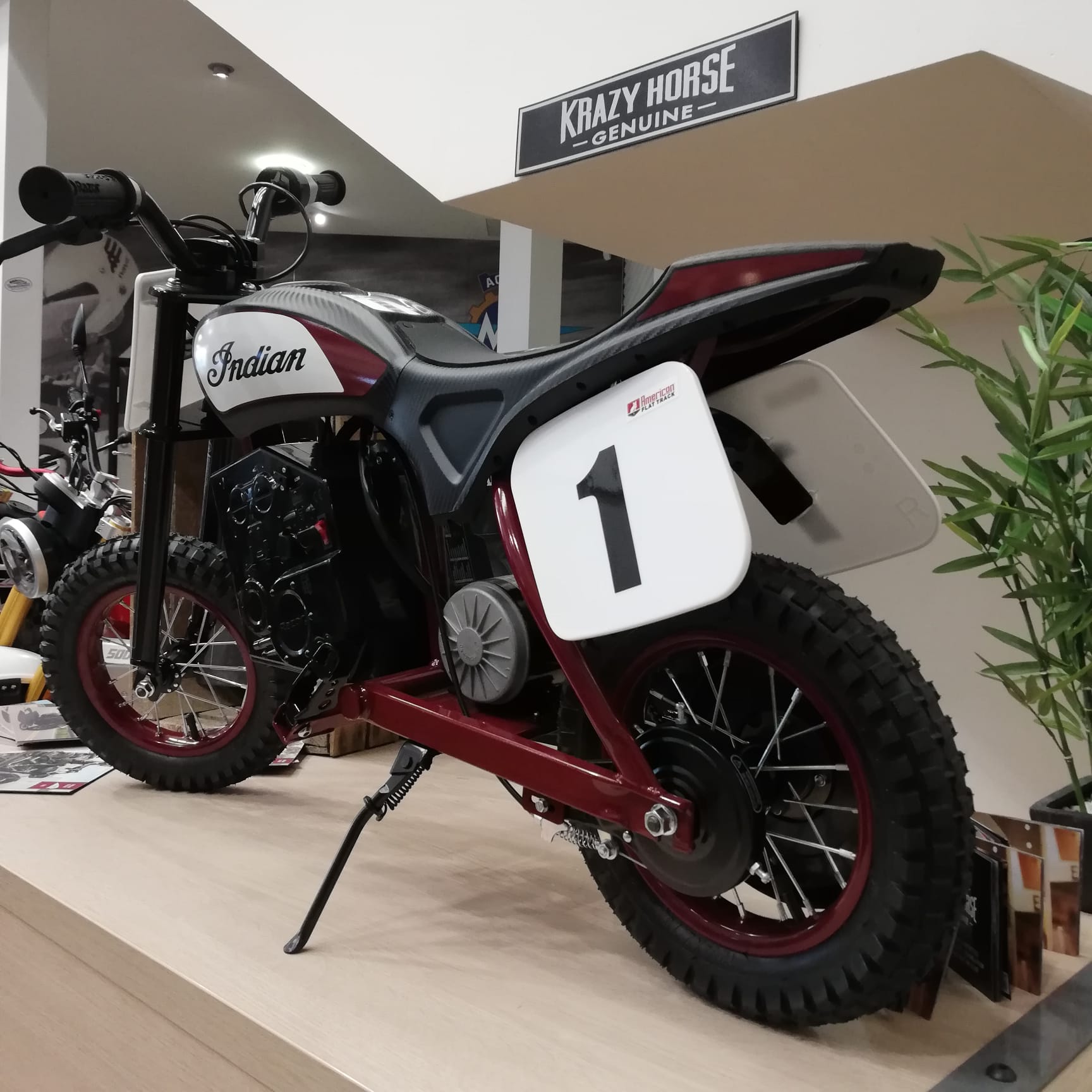 Indian eFTR Mini - INDIAN MOTORCYCLE RED/CARBON