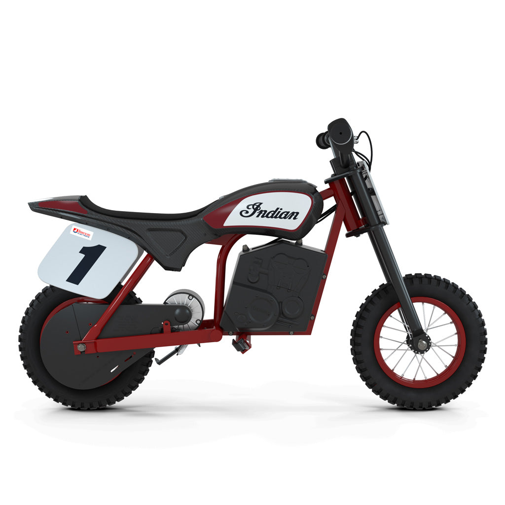 Indian eFTR Mini - Race Rep